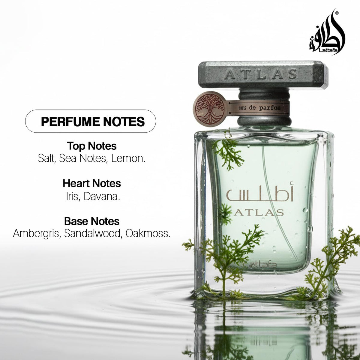 Lattafa Atlas eau de parfum — view 4